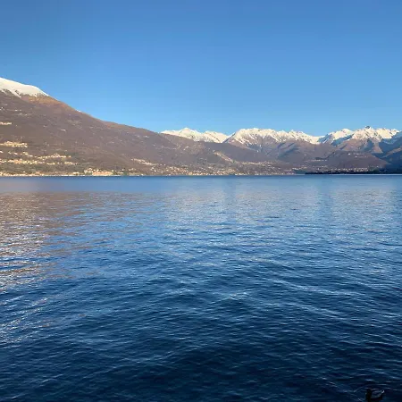 Апартаменты Patty & Bleto House