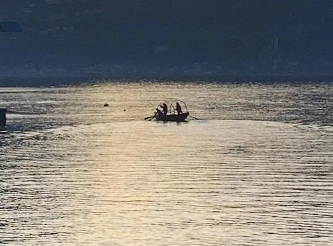 Patty & Bleto House * בלאנו